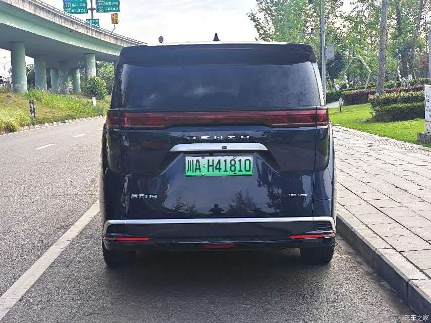 Denza D9, 2024 8