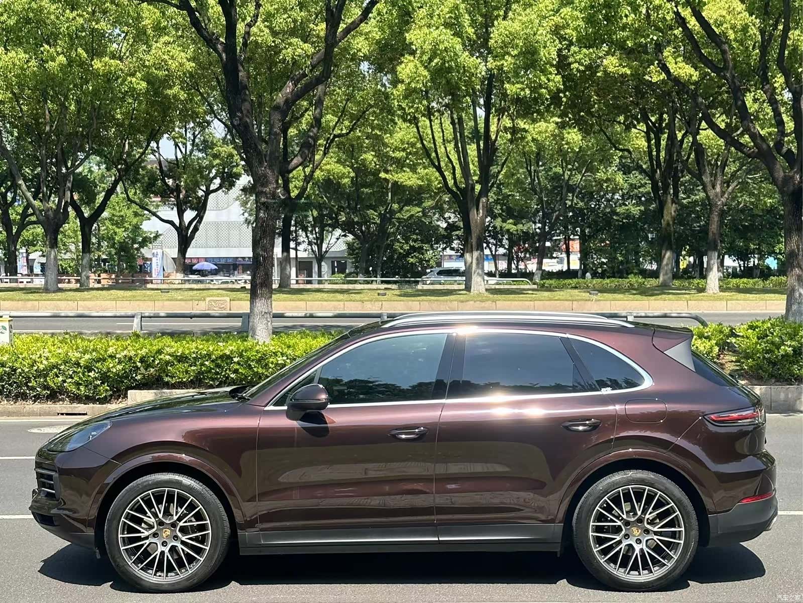 Porsche Cayenne, 2022 все фото