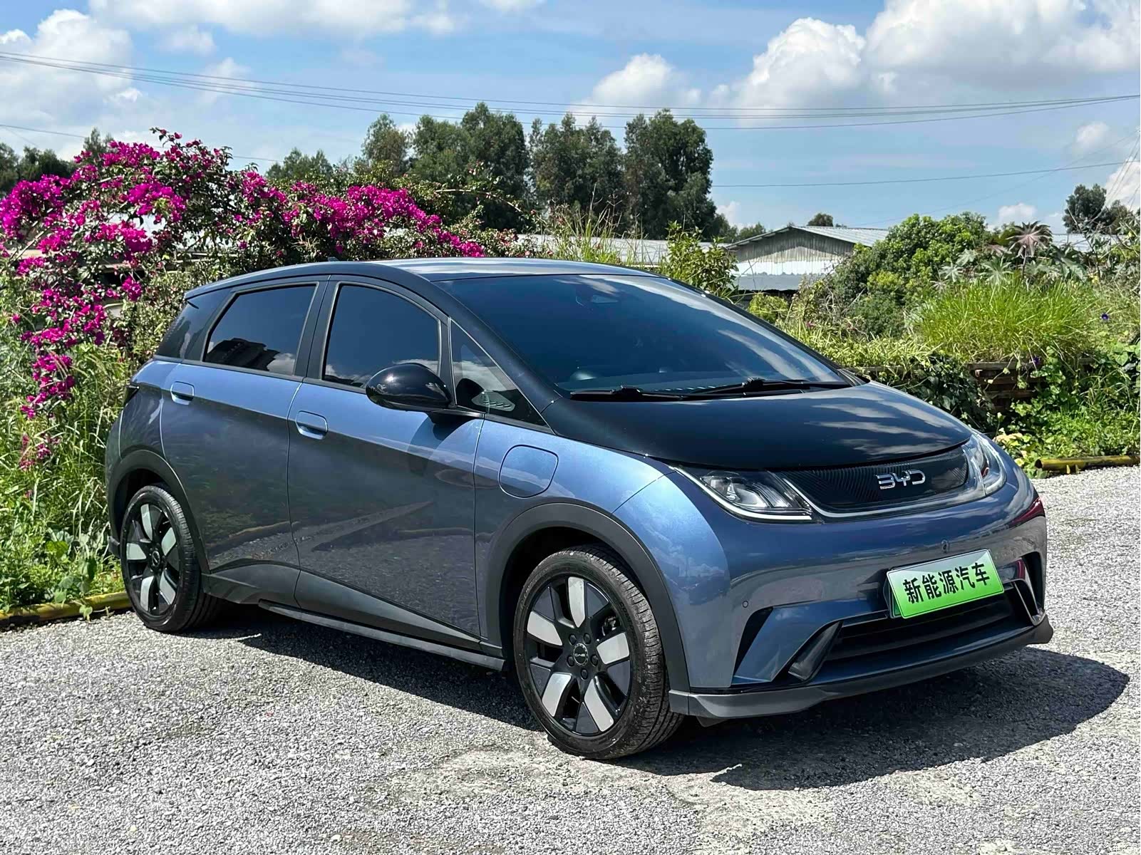 BYD Dolphin, 2024 3