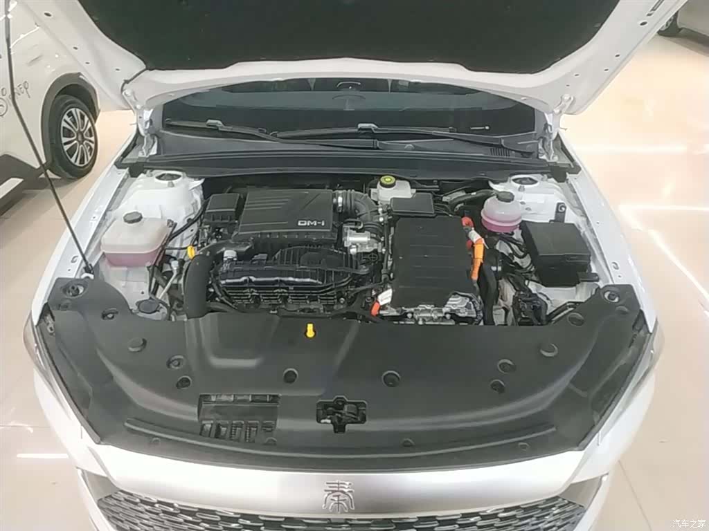 BYD Qin, 2024 20