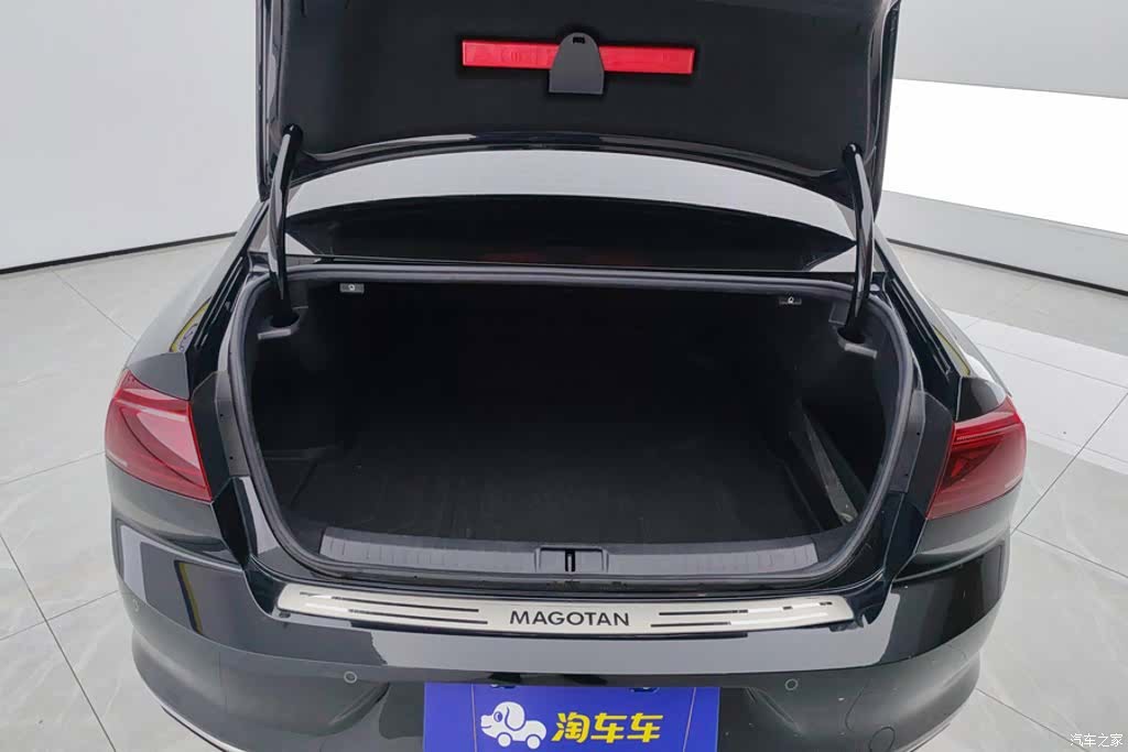 Volkswagen Magotan, 2024 4