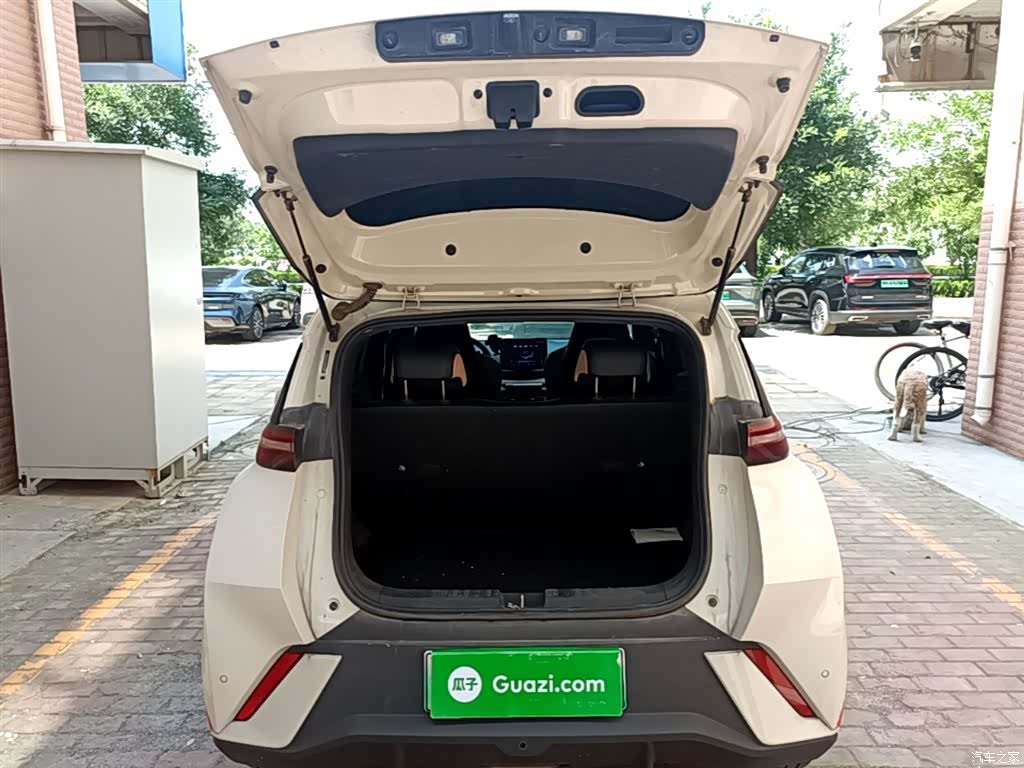 BYD Seagull, 2024 19