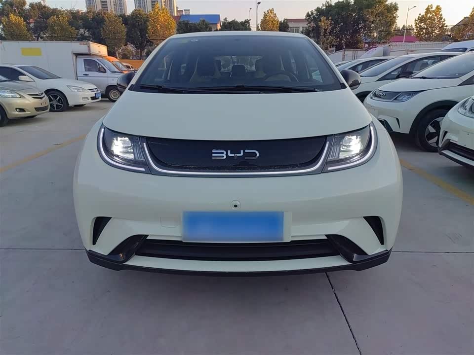 BYD dolphin