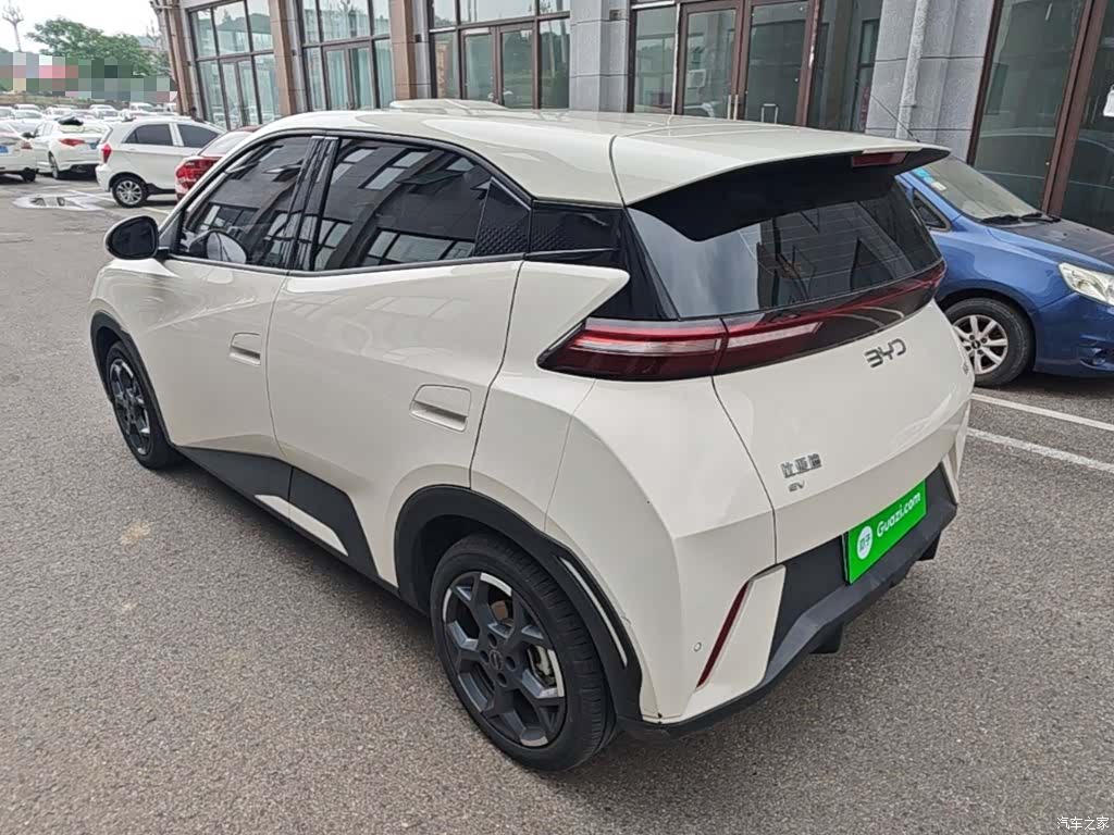 BYD Seagull, 2024 все фото