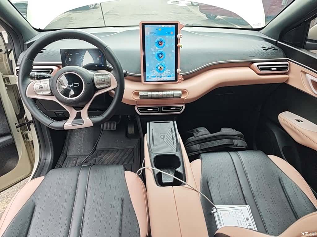 BYD Seagull, 2024 10