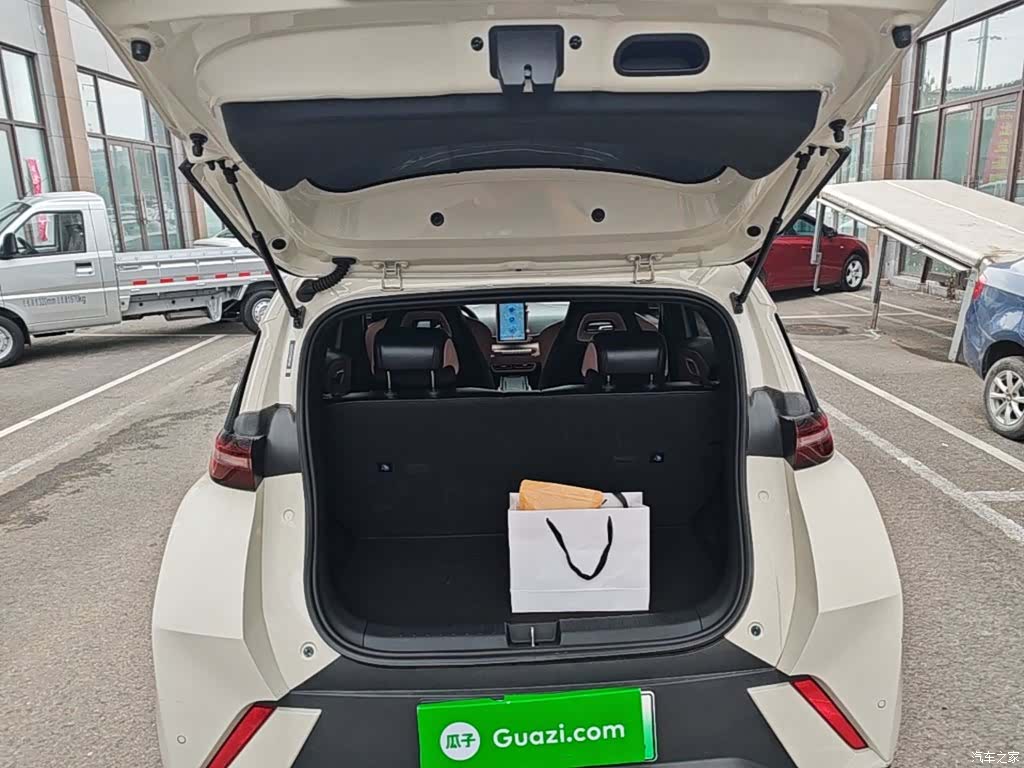 BYD Seagull, 2024 19