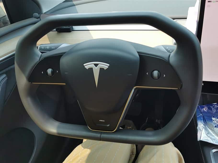 Tesla Model Y Tesla Model Y
