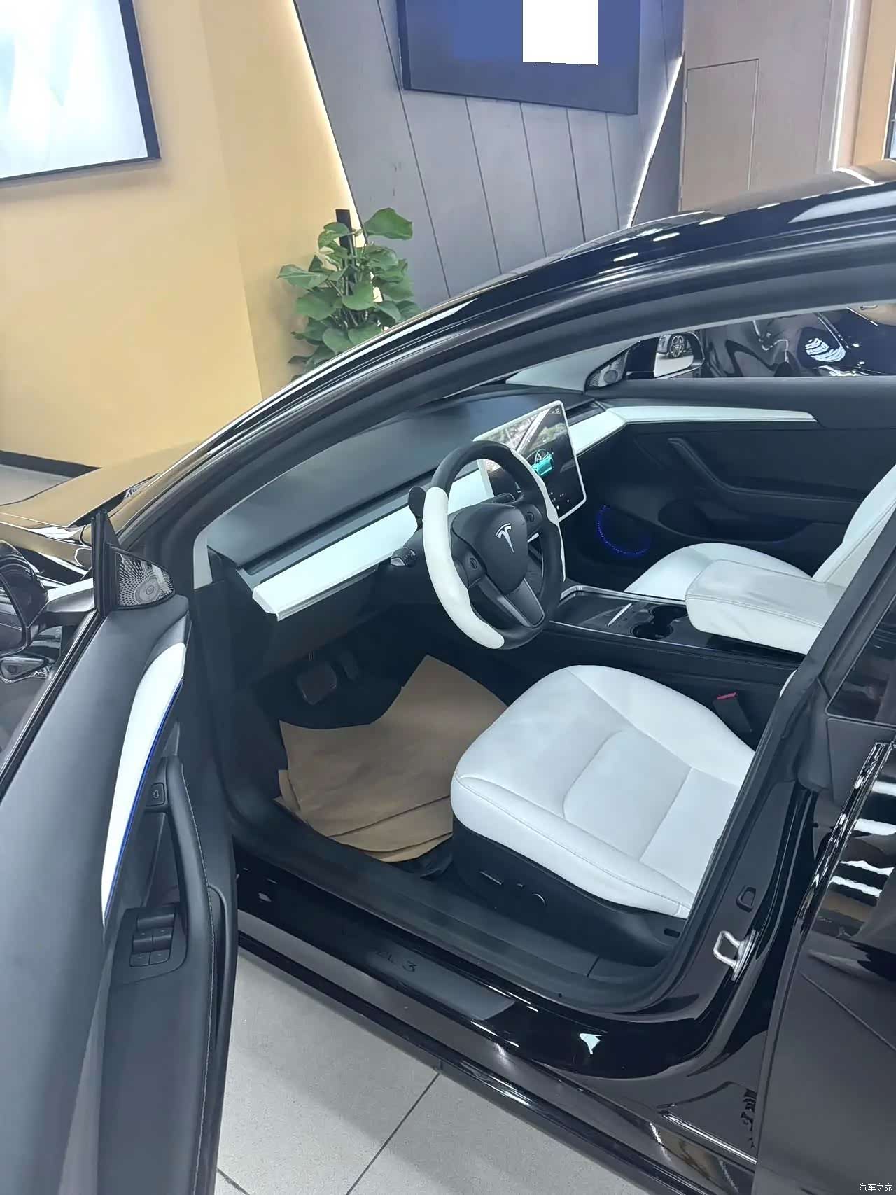 Tesla Model 3, 2023 3