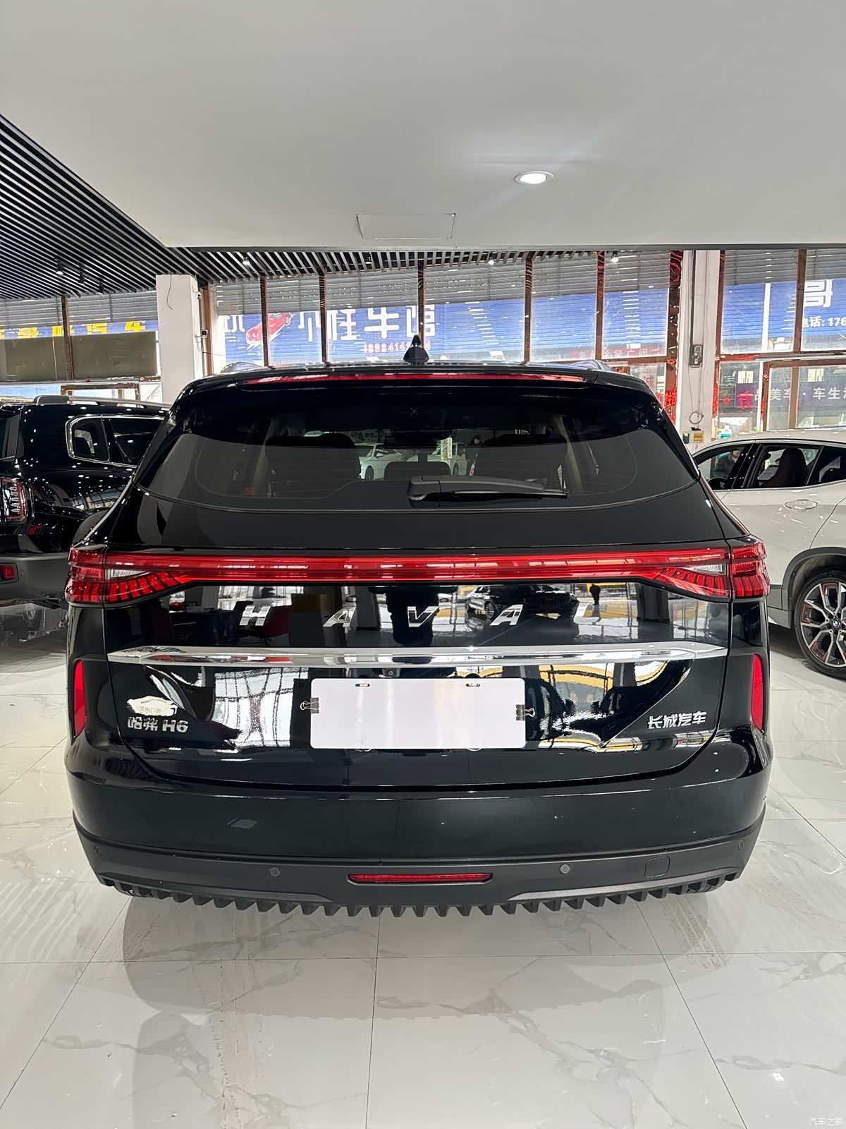 Haval H6, 2024 все фото