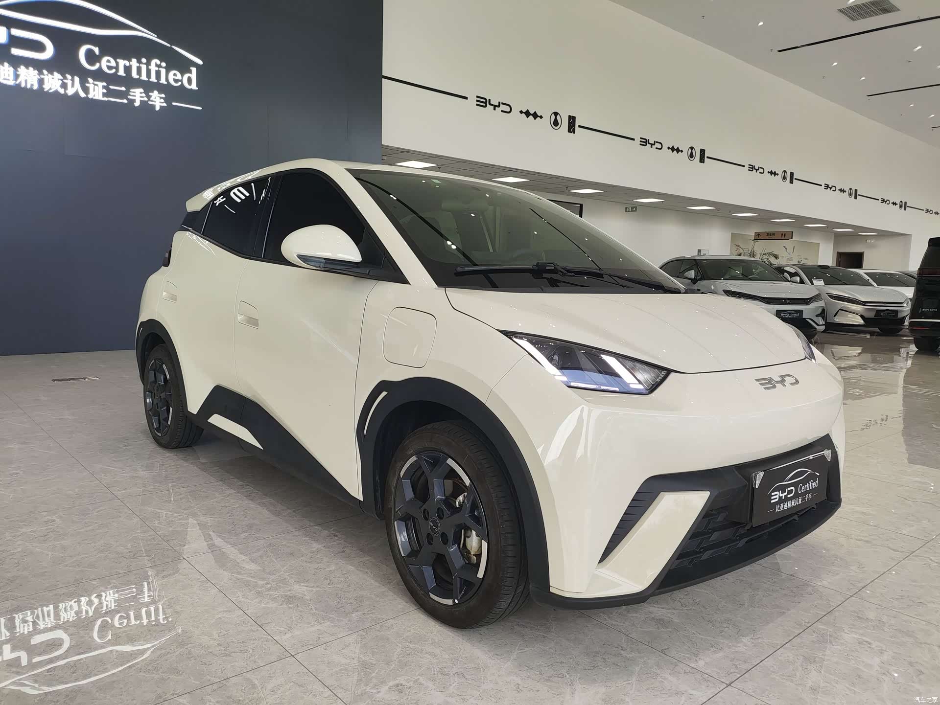 BYD Seagull, 2024 3