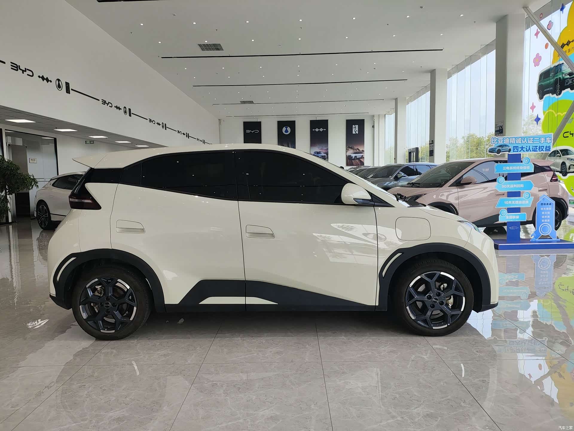 BYD Seagull, 2024 4