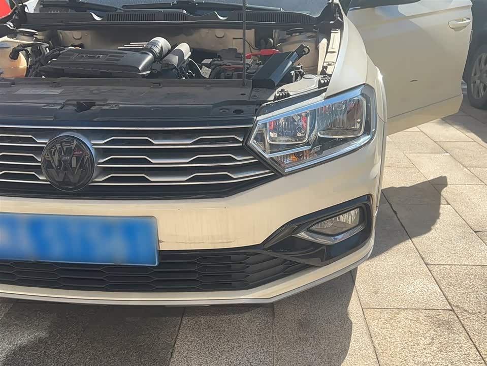 Volkswagen C-TREK Wei Collar