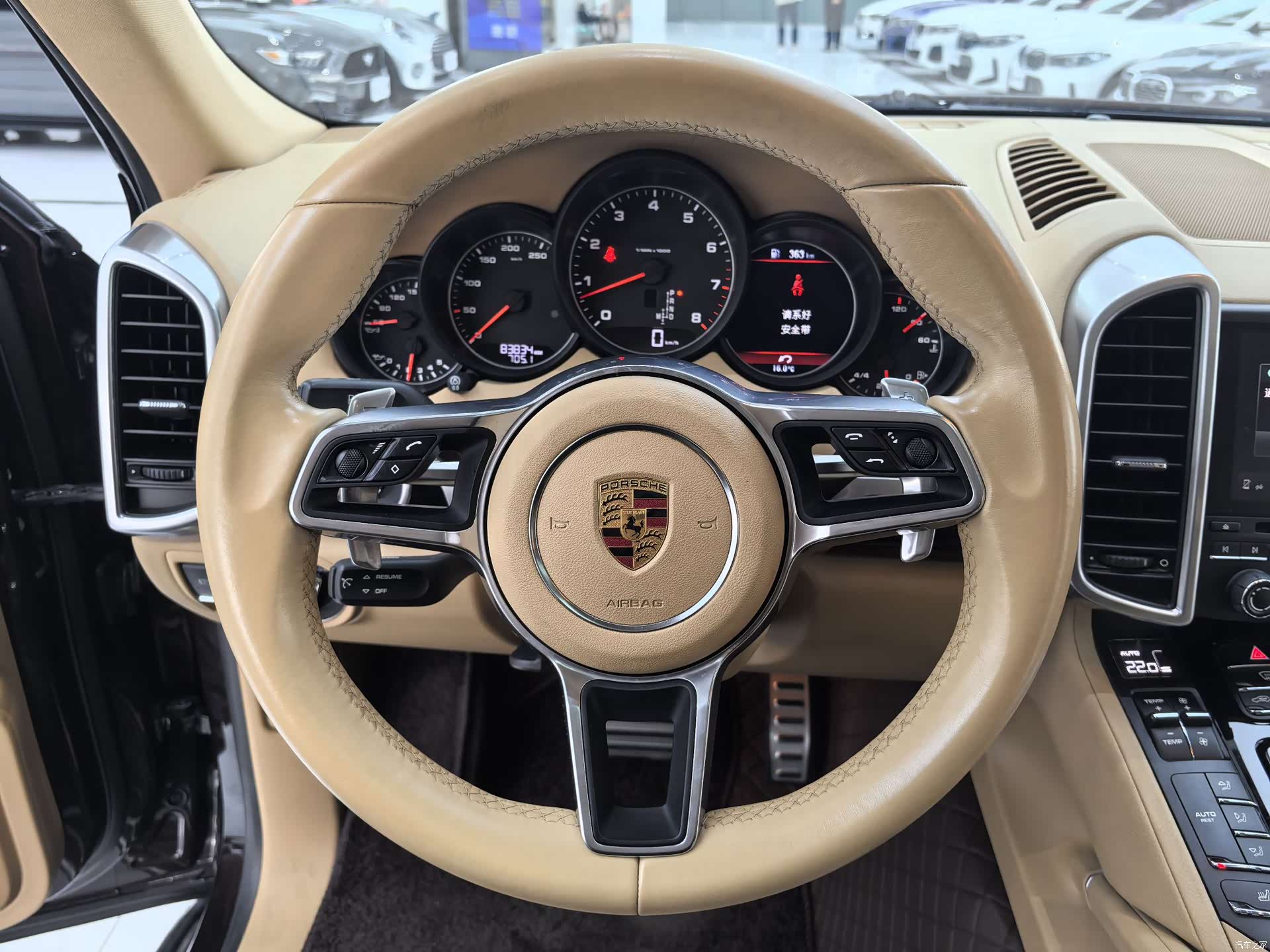 Porsche Cayenne, 2017 12