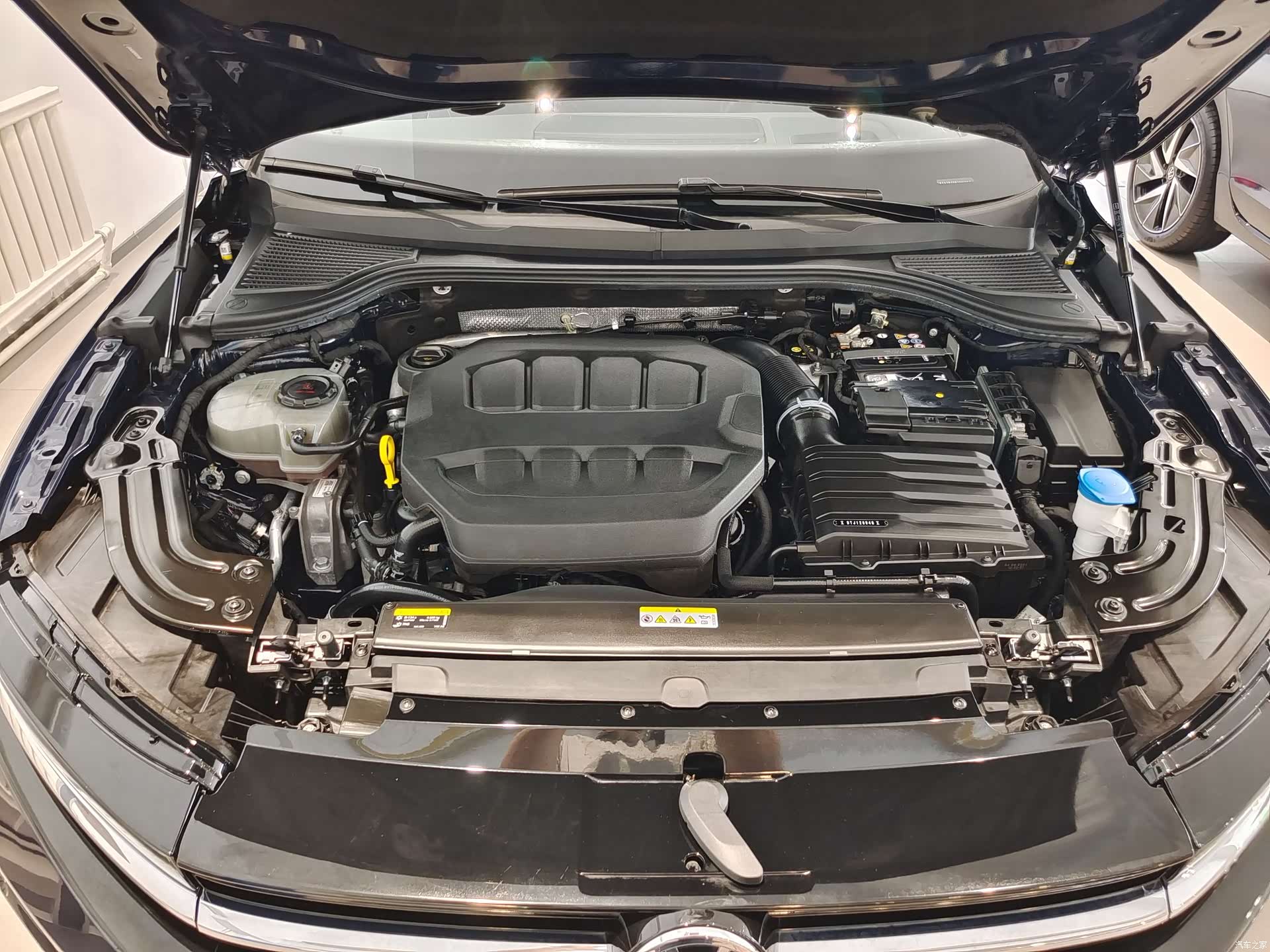 Volkswagen Magotan, 2024 6