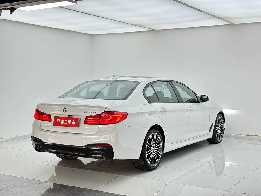 BMW 5 Series 2019, фото 7
