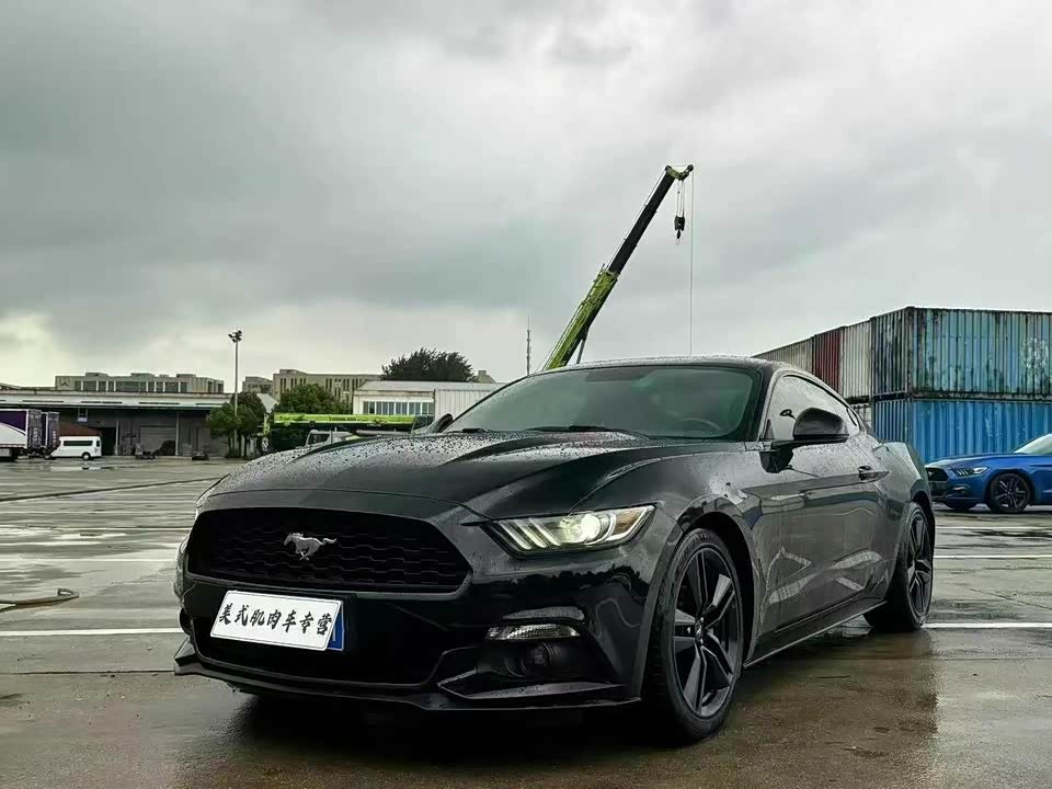 Ford Mustang Ford Mustang