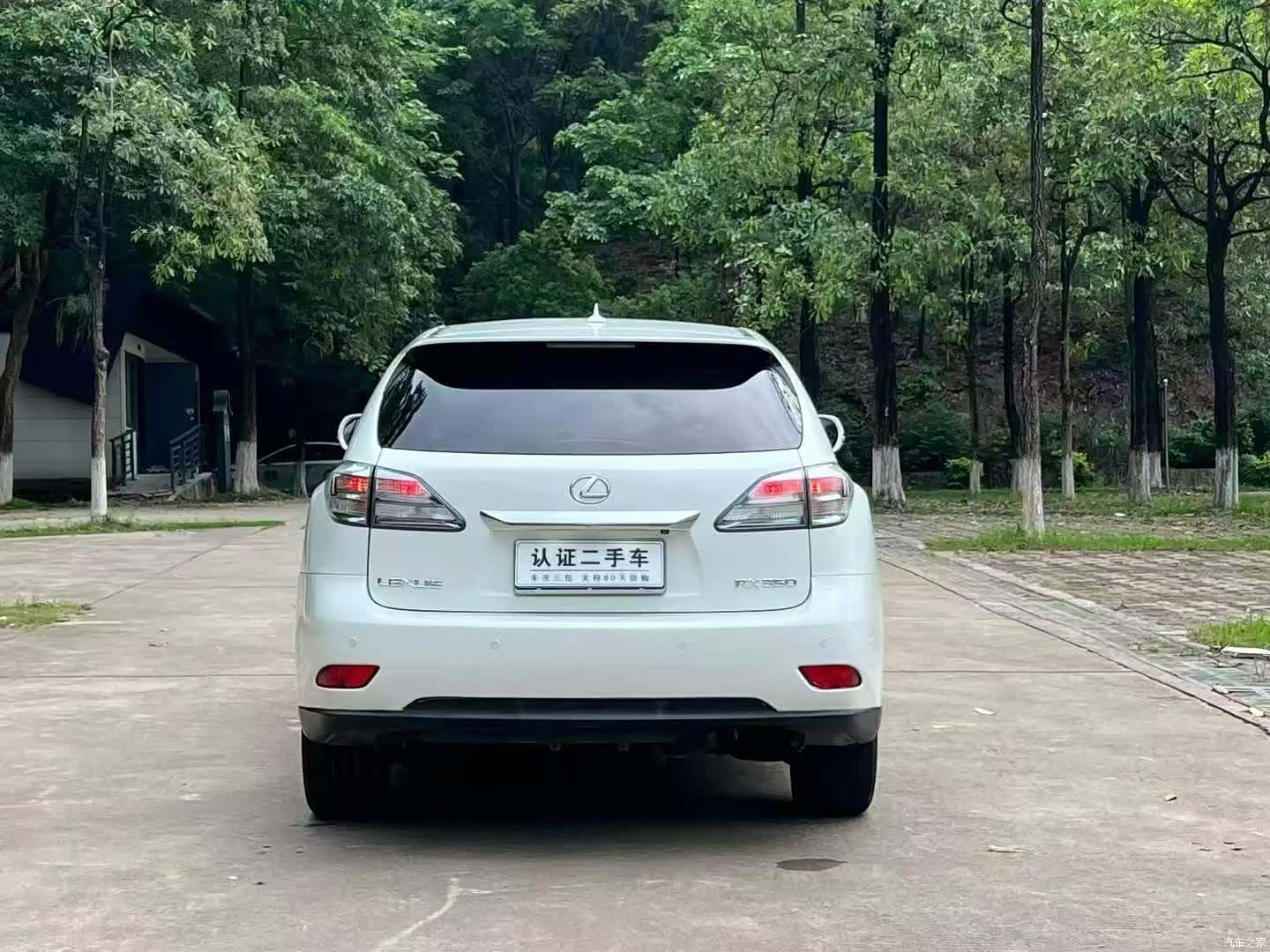 Lexus RX, 2010 9