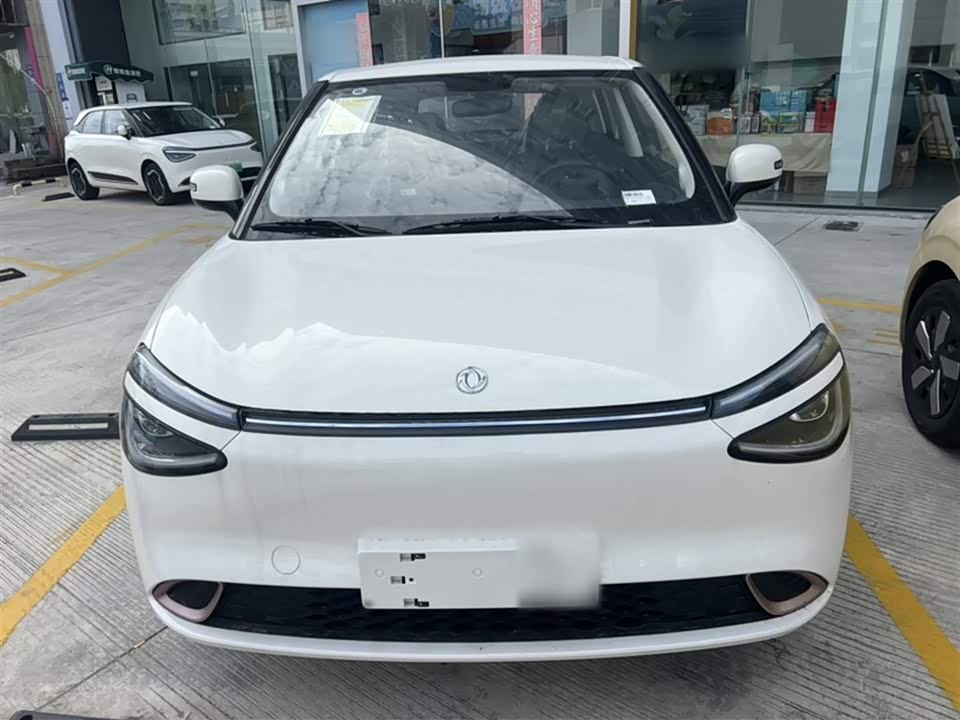 Dongfeng Nammi Nano 01