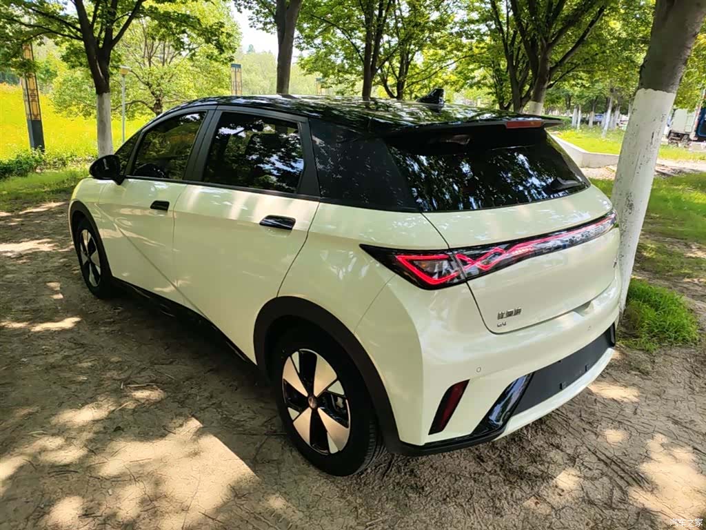 BYD Dolphin, 2023 все фото