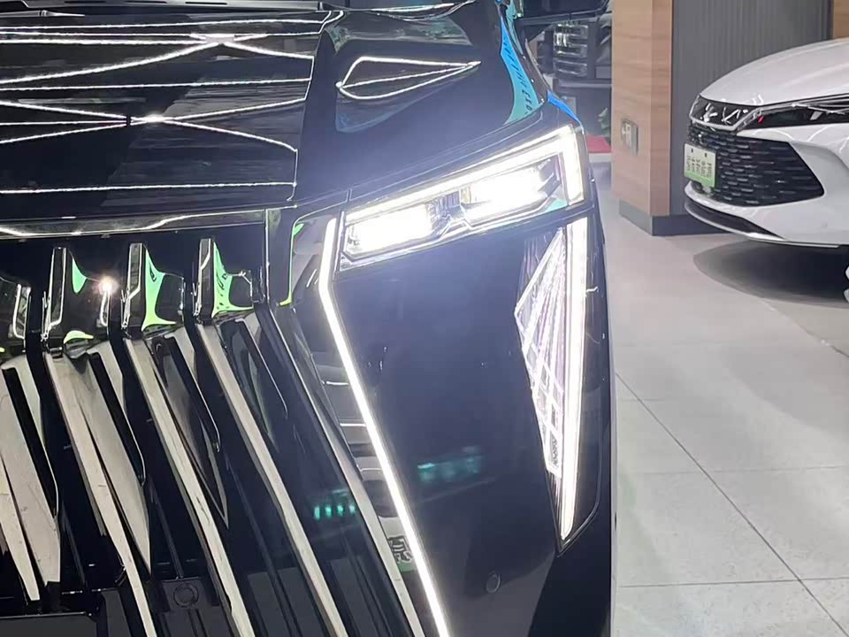 Trumpchi Trumpchi E9