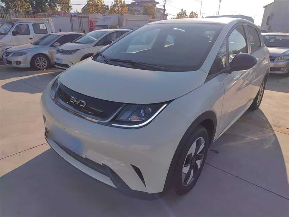 BYD dolphin