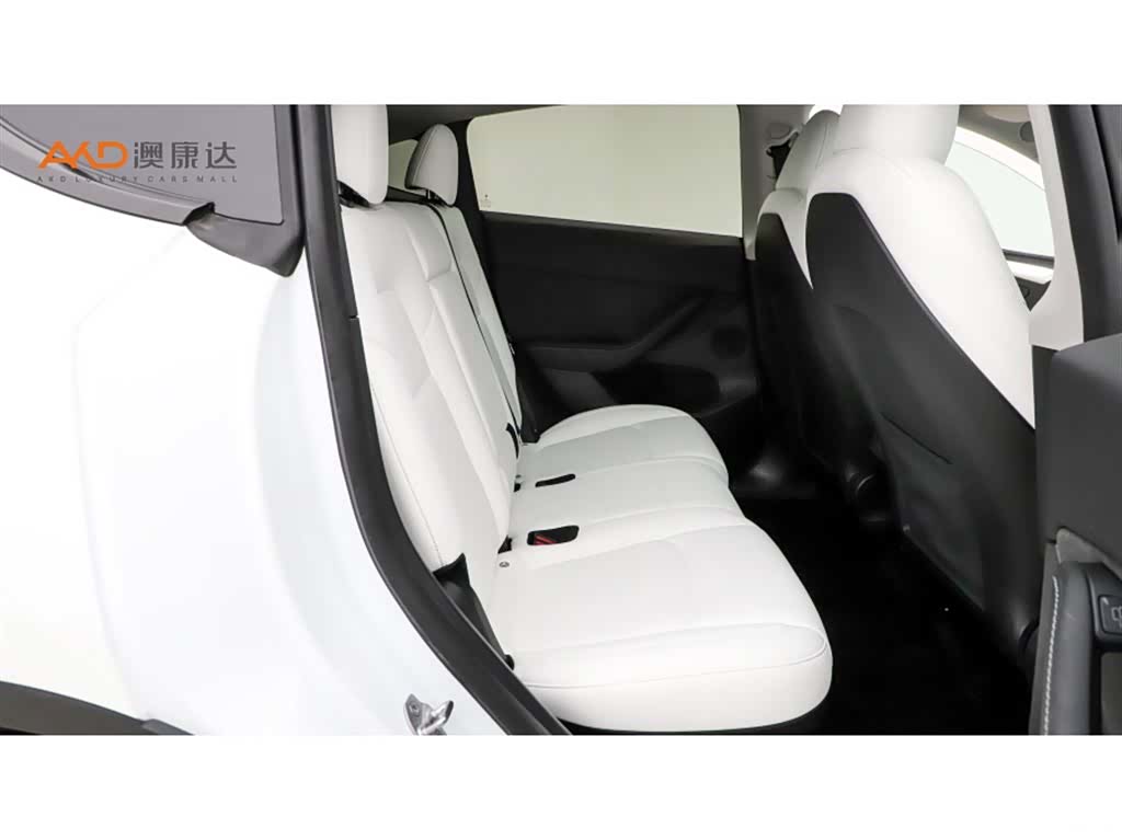 Tesla Model Y, 2023 8