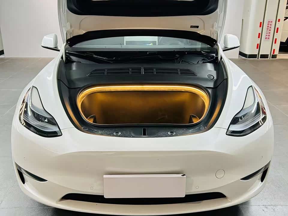Tesla Model Y Tesla Model Y