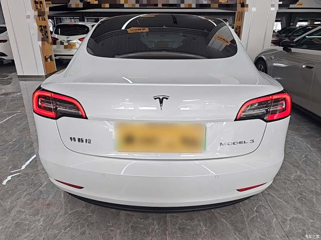 Tesla Model 3, 2021 6