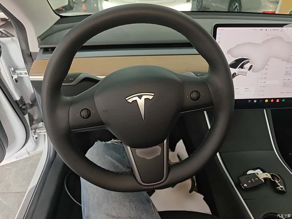 Tesla Model 3, 2021 11