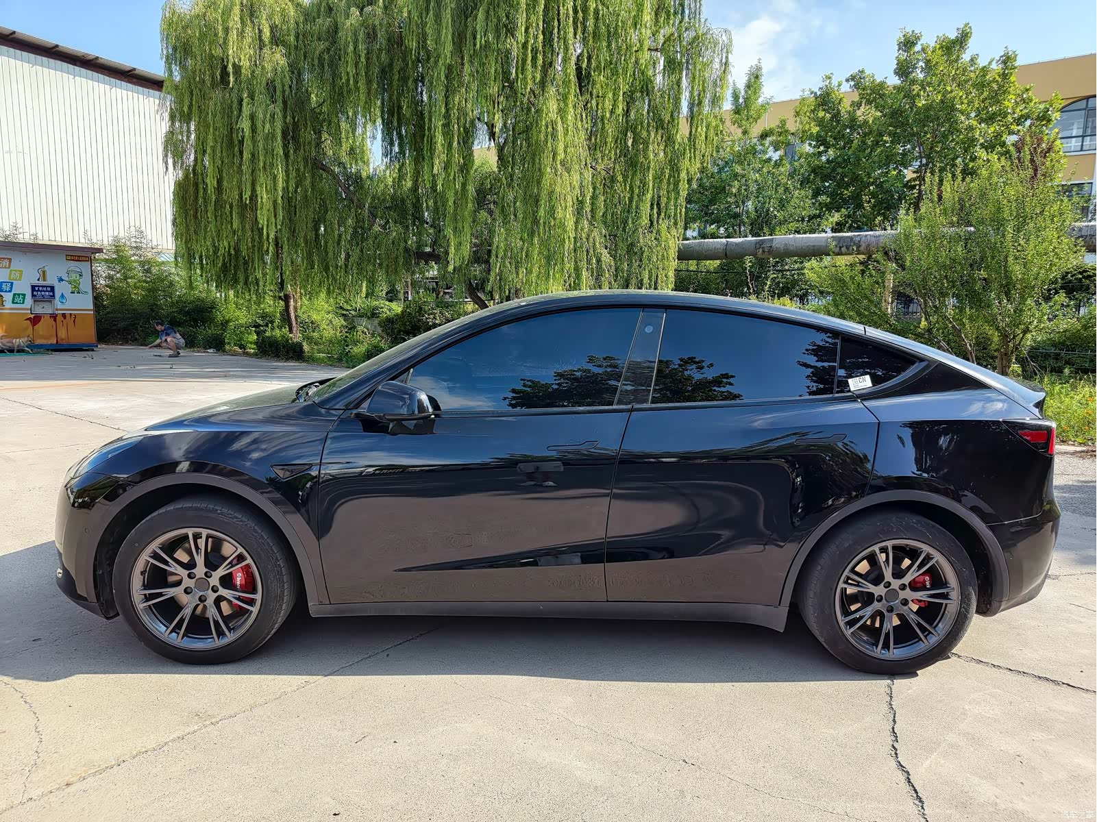 Tesla Model Y, 2023 все фото