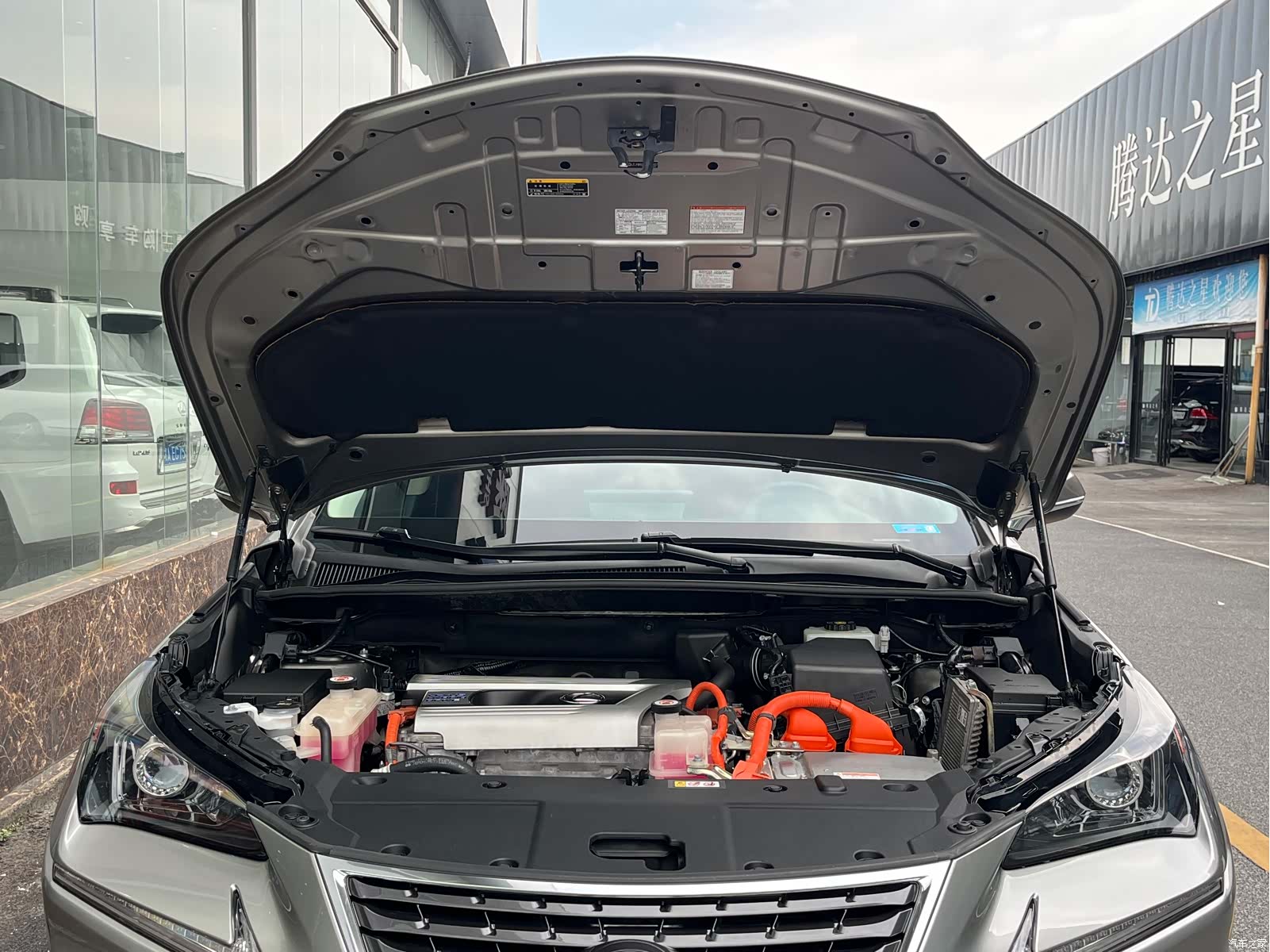 Lexus NX, 2019 14