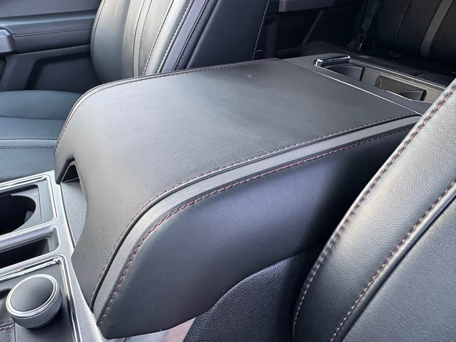 Ford F-150 Raptor 2020, фото 20