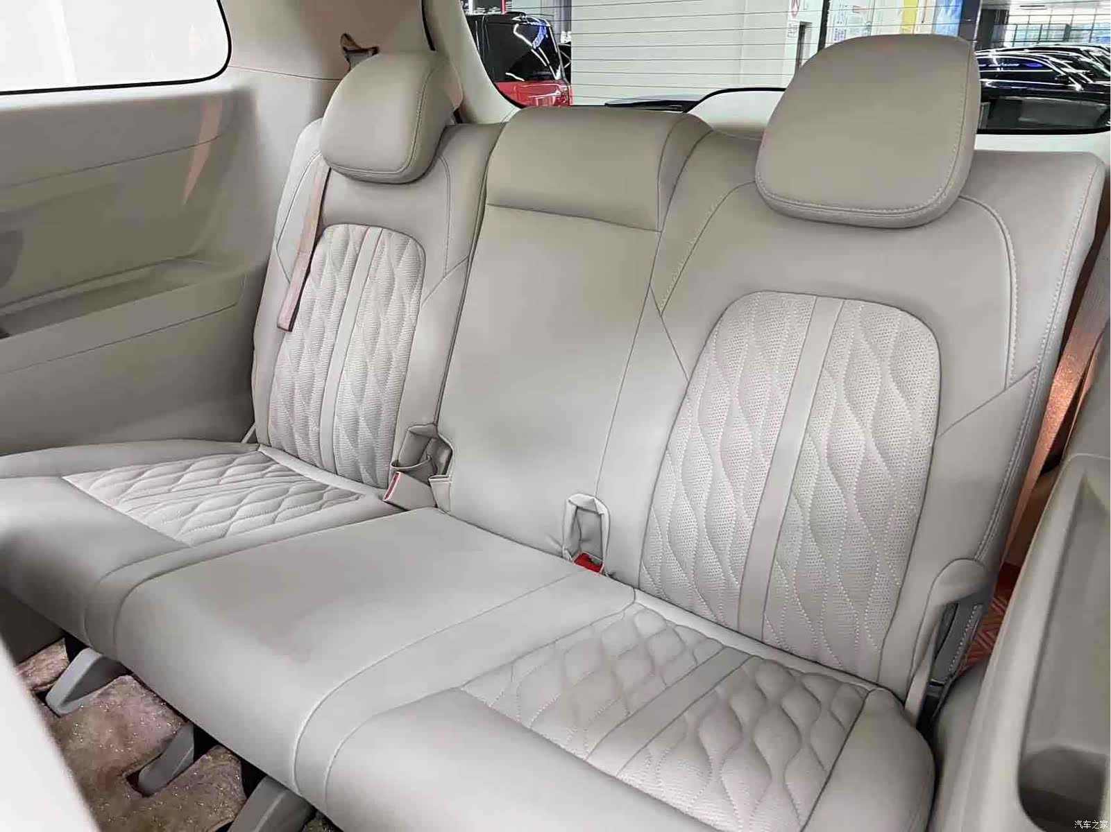 Buick GL8, 2019 10