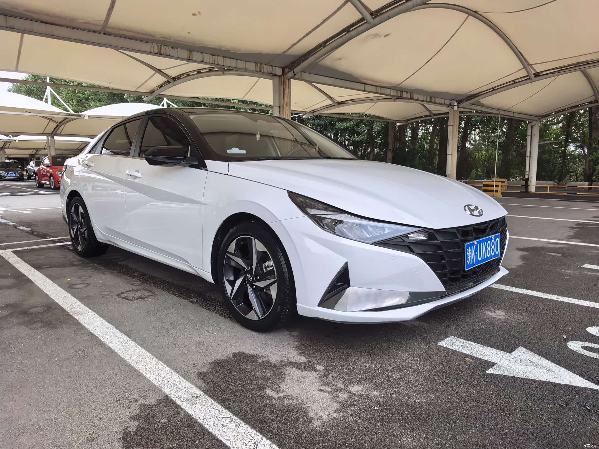 Hyundai Elantra, 2023 3