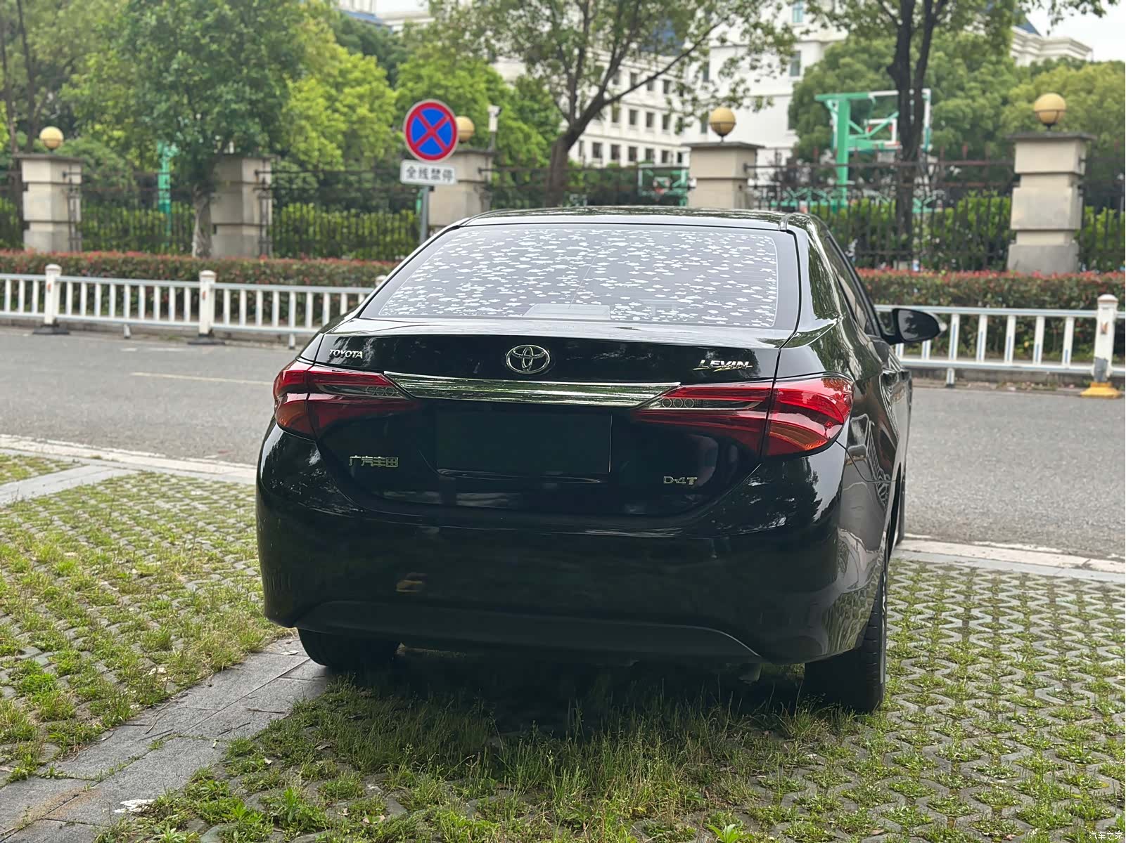Toyota Levin, 2018 6