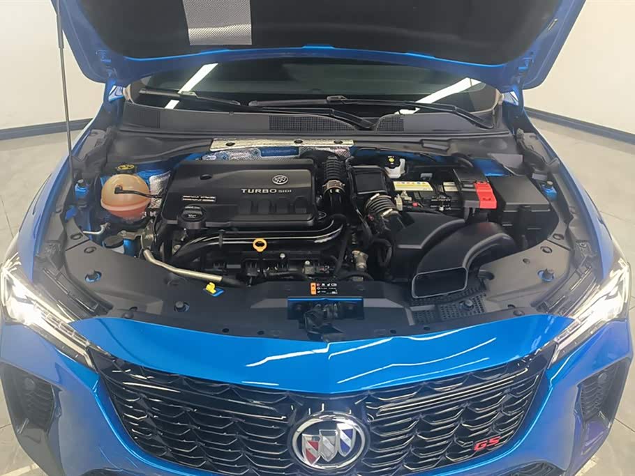 Buick Weilang