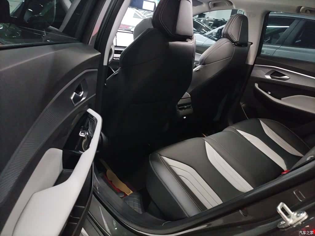 Geely Binray, 2024 14