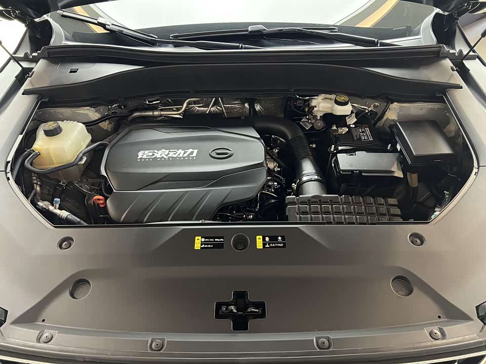 Trumpchi Trumpchi GS8