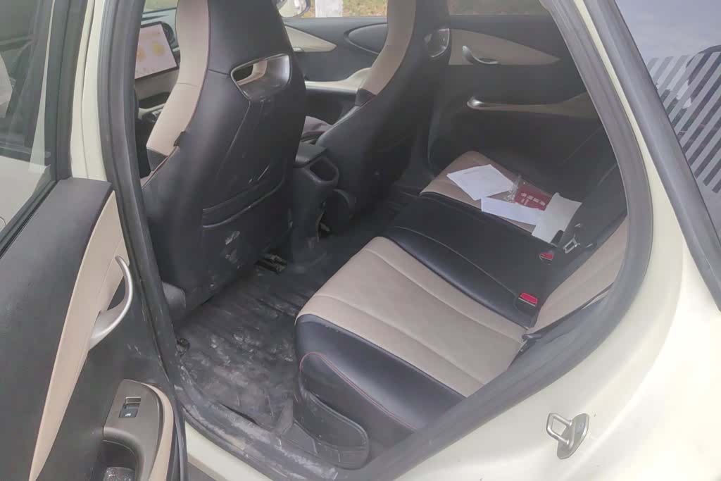BYD Dolphin, 2023 11