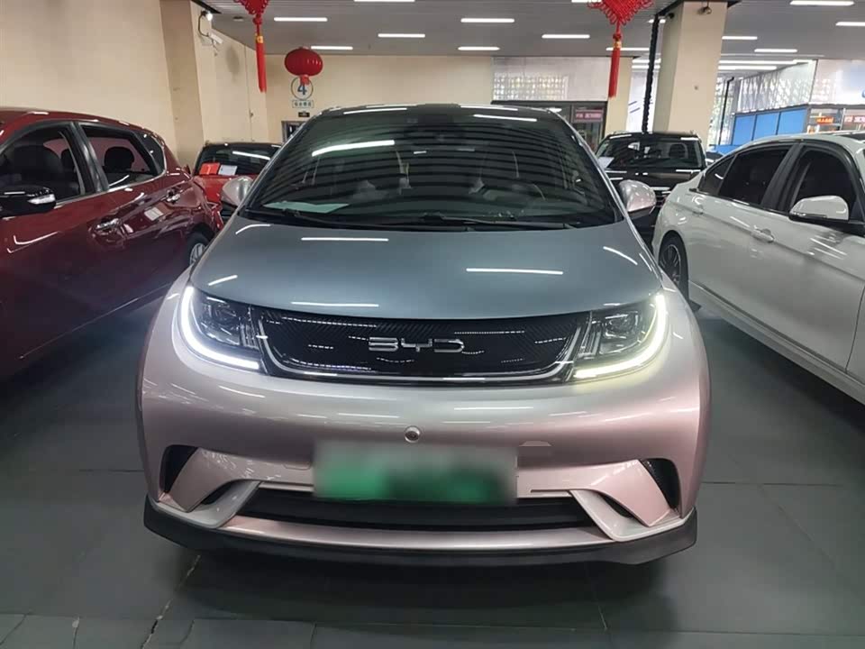 BYD dolphin BYD dolphin