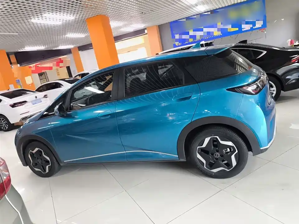 BYD dolphin BYD dolphin
