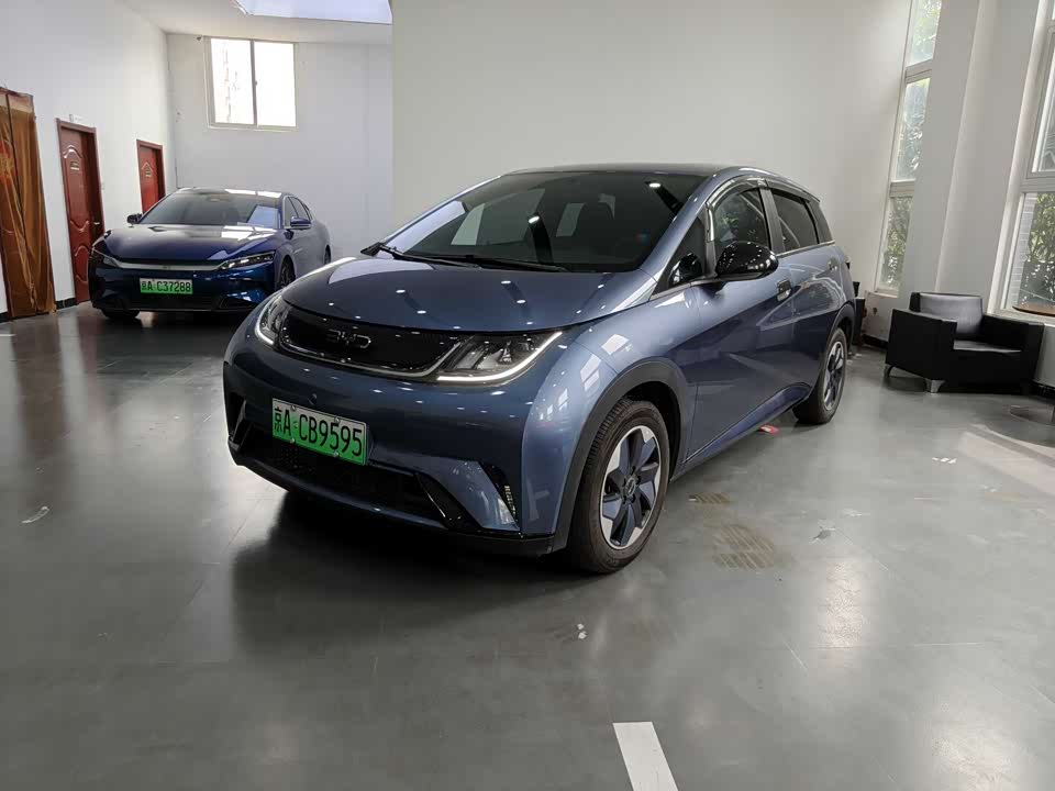 BYD dolphin BYD dolphin