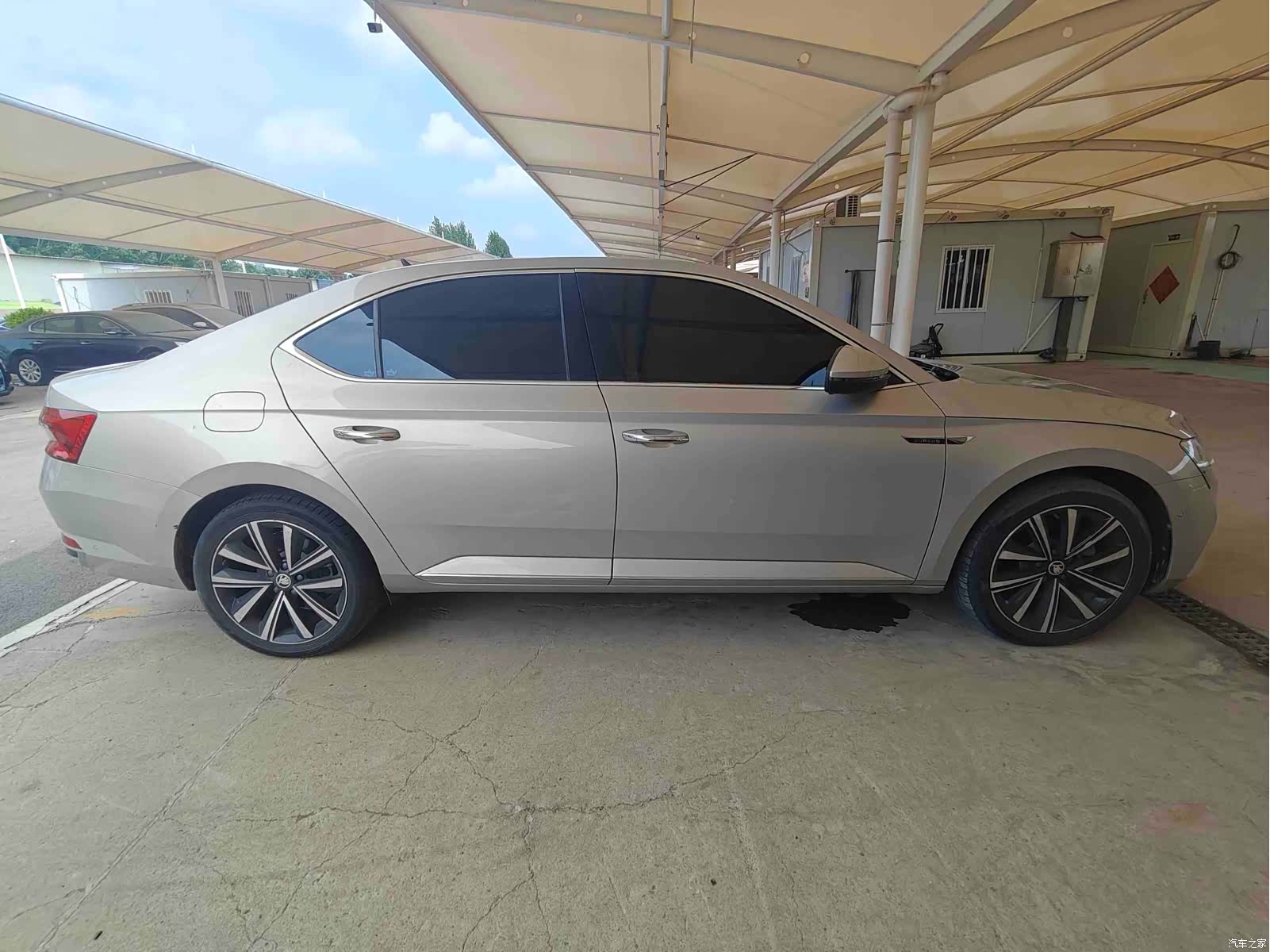 Skoda Superb, 2021 все фото