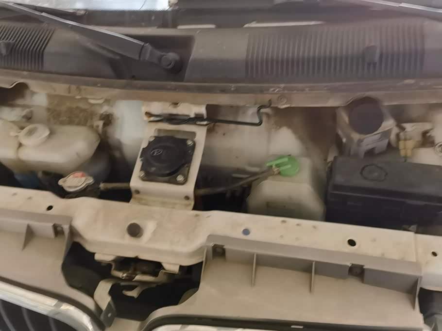 Shineray  Little Sea Lion EV