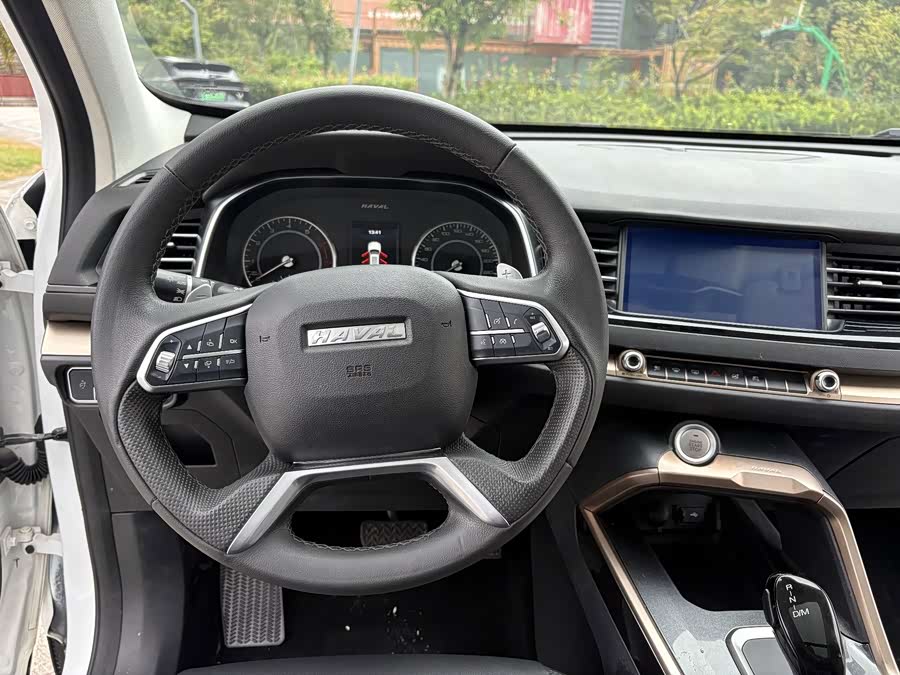 Haval H6 2021, фото 8