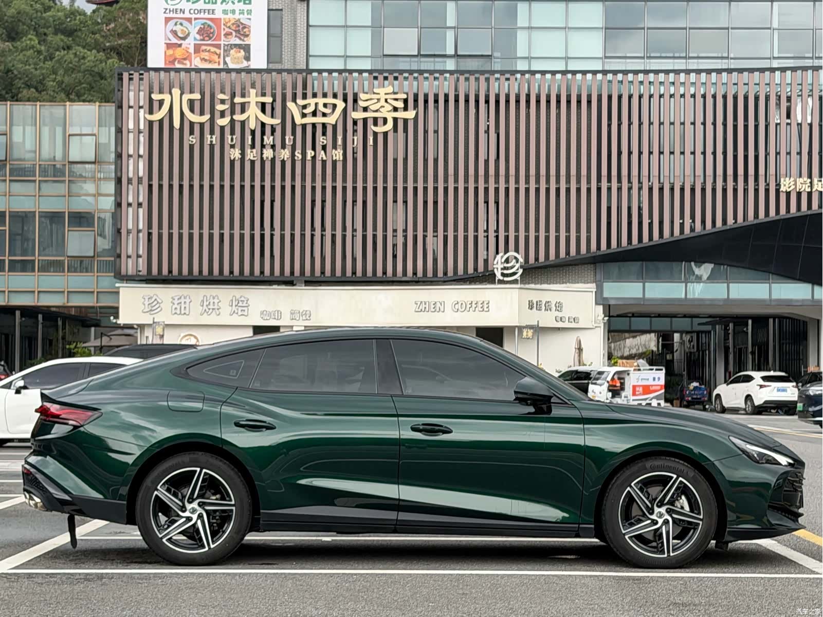 MG MG7, 2023 все фото
