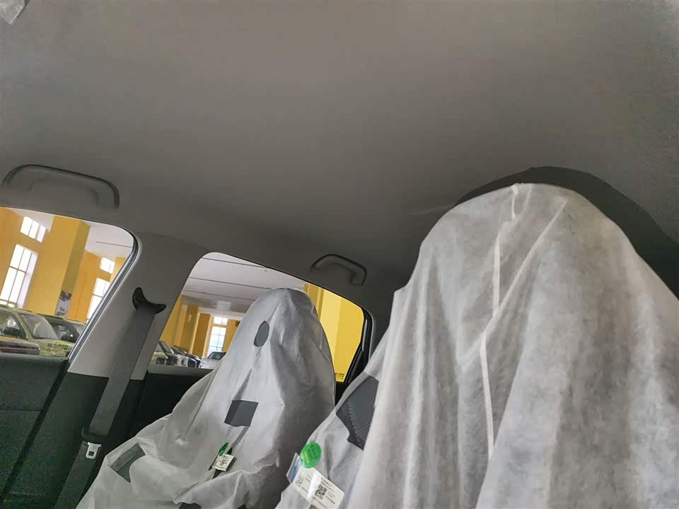 Geely Galaxy Star Wish