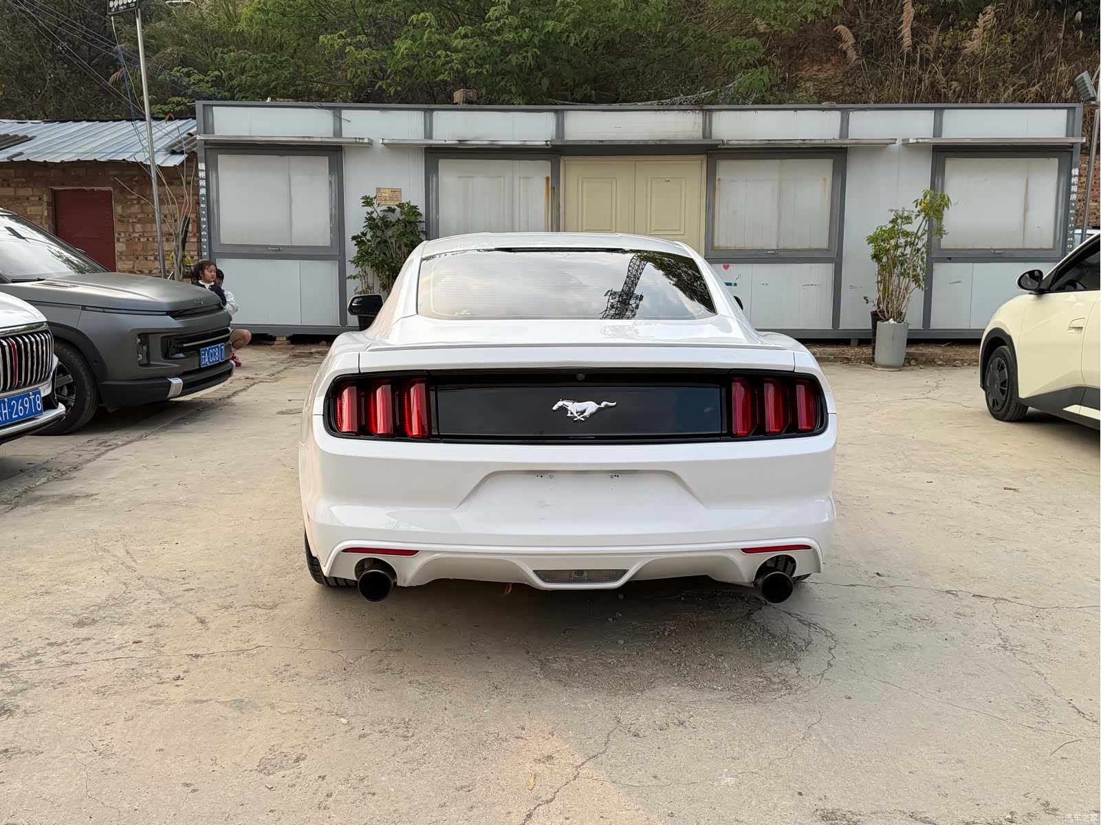 Ford Mustang, 2017 все фото