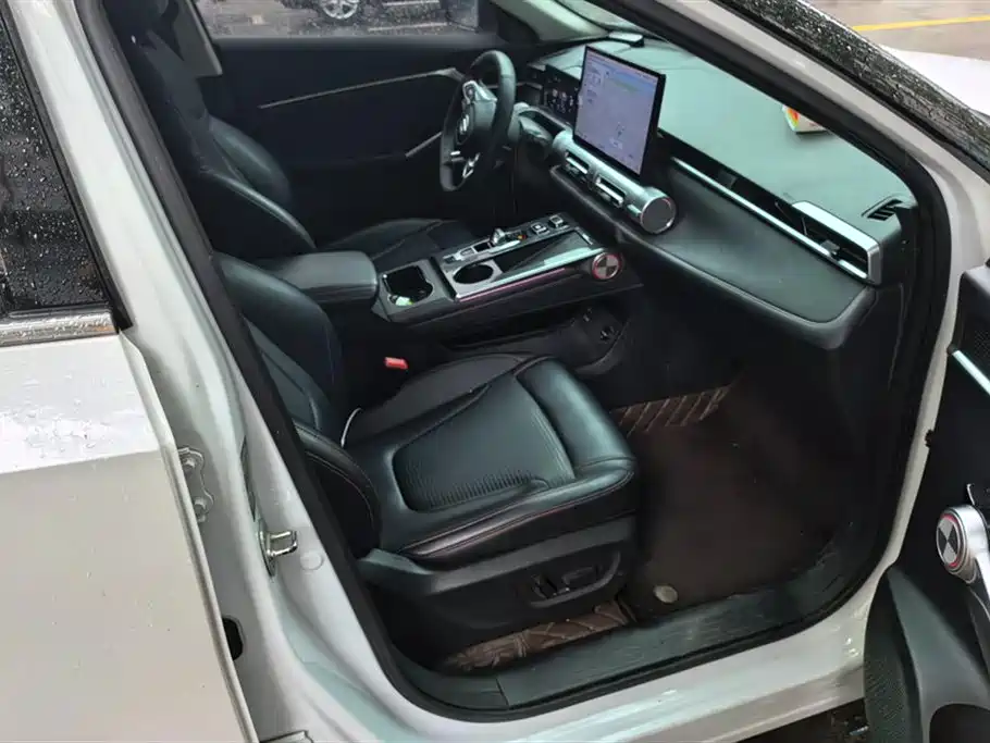 Trumpchi Shadow cool