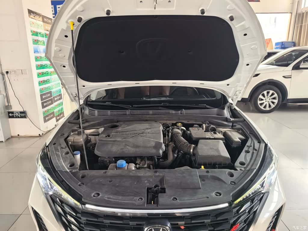 Changan Eado, 2023 13